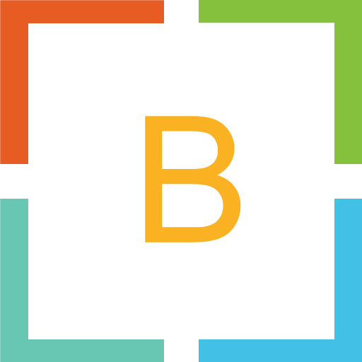 Binayasha Technologies logo
