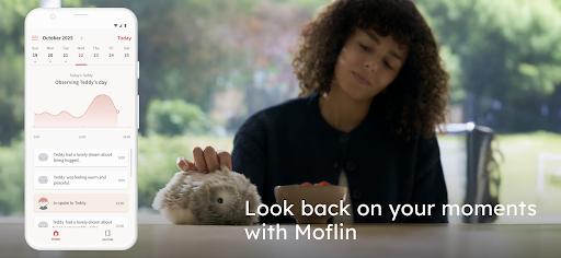 Screenshot of MofLife