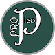Pico Art Pro Download on Windows