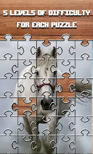Horse Jigsaw Puzzles HD