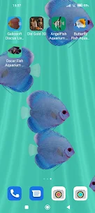Discus Fish Aquarium LWP