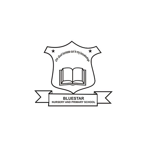 BLUE STAR SCHOOL logo