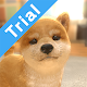 with My DOG (Trial Version) विंडोज़ पर डाउनलोड करें