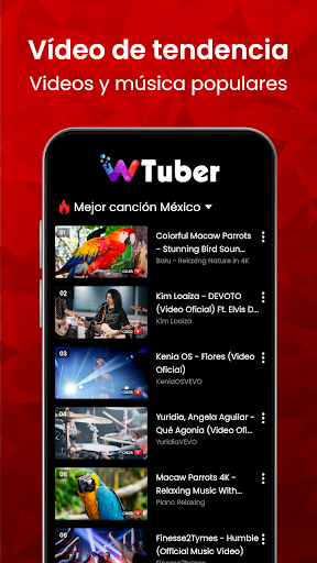 Reproductor de Vídeo - wTuber screenshot 3