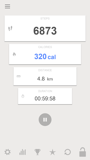 Step & Calorie Counter Screen 3