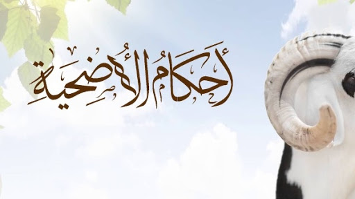 احكام الأضحية Screen 2