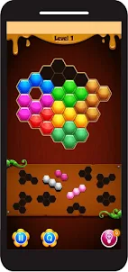 puzzle hexa block