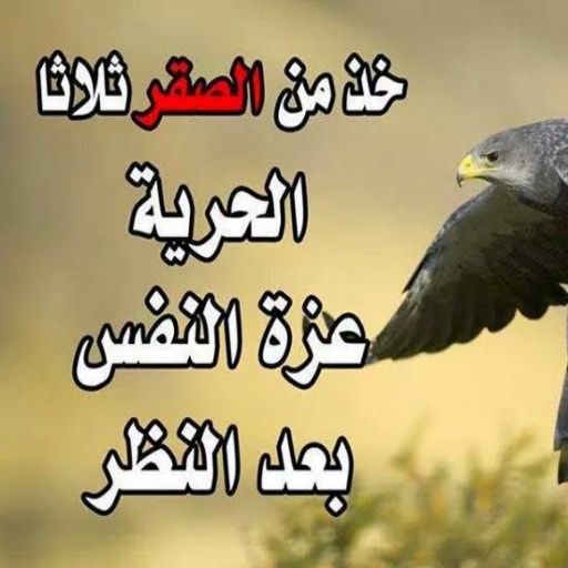 حكم واقوال كلام له معنى عميق logo