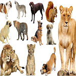 Cover Image of Download Animal Sounds 1 APK