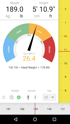 Screenshot of BMI Calculator