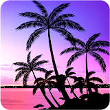 Palm Tree Wallpapers icon