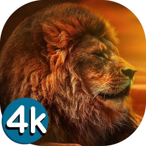🐯 Lion Wallpapers - Angry 4K - Ứng dụng trên Google Play