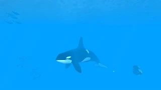 VR Ocean Aquarium 3D - Screenshot 2