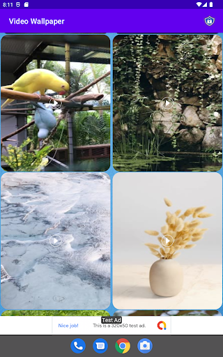 Video Wallpaper Screen 3