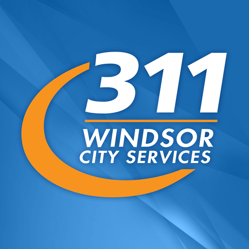 Windsor 311  Icon