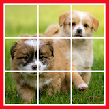 Puppy Puzzle icon