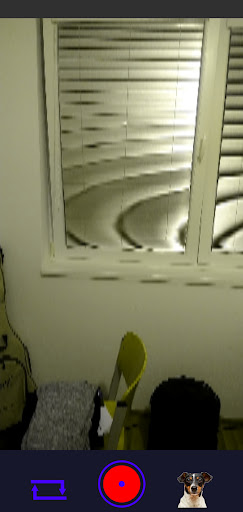 Animal Cam Screen 2