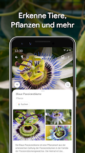 Google Lens Varies with device APK screenshots 2