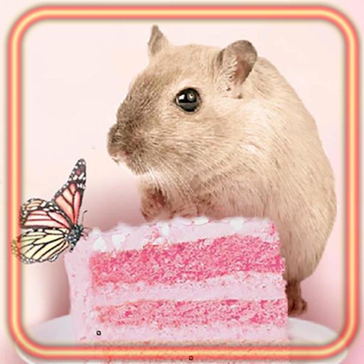 Hamsters Wallpaper Scarica su Windows