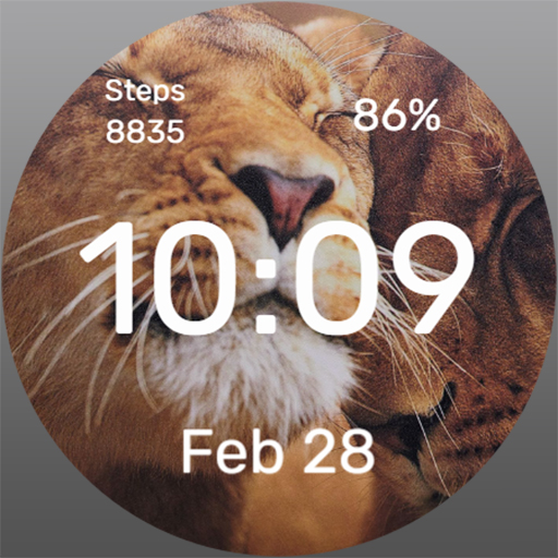 Cute Lionesses - Watch Face Download on Windows