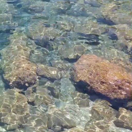 Real Water Live Wallpaper Pro logo