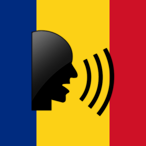 Romanian Vocabulary logo