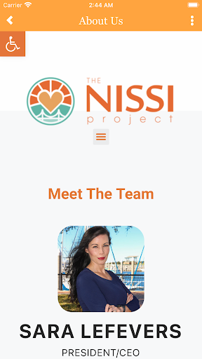 The NISSI Project Screen 2