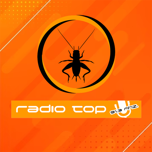Radio FM Top San Martin 91.3 Screen 2