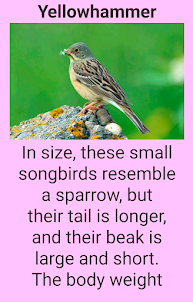 Sedentary birds
