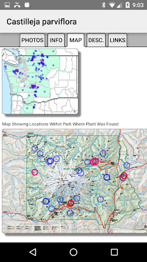 Mt Rainier Wildflowers