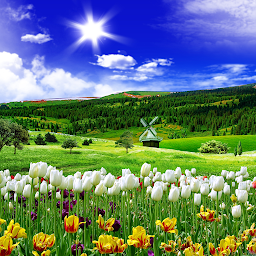 Image de l'icône Spring Nature Live Wallpaper