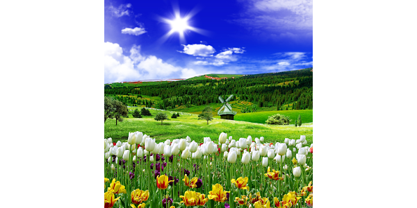 Spring Nature Live Wallpaper - Apps on Google Play