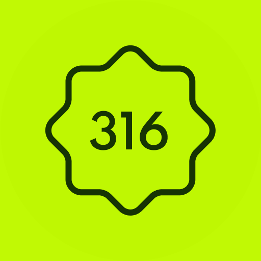 316 Money - Mobile Banking logo