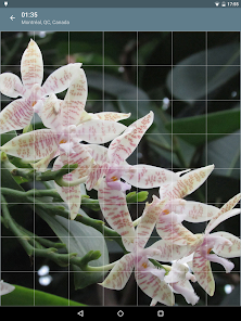Captura 24 Rompecabezas: Flores android