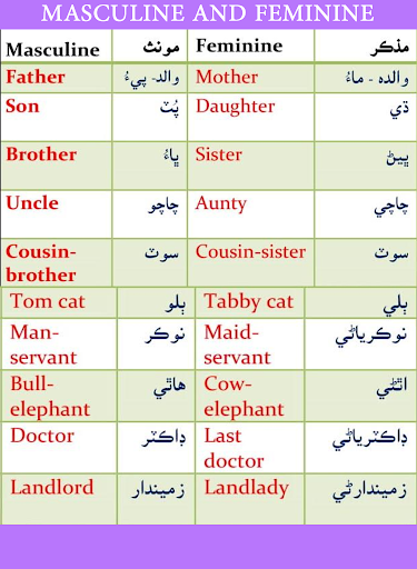 English Grammar & Vocabulary V Screen 3