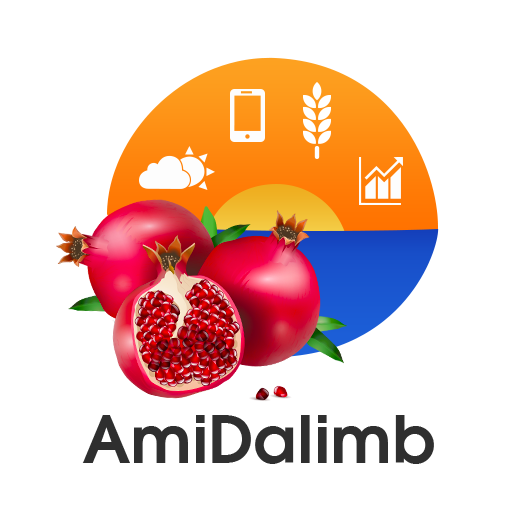 Amidalimb logo
