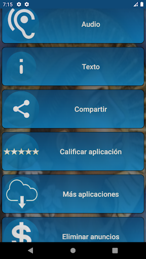 Vista previa de la aplicación