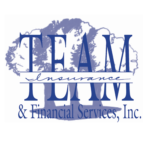Team Insurance Express logo