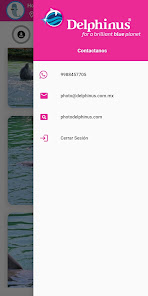 Captura de Pantalla 5 Delphinus Memories android