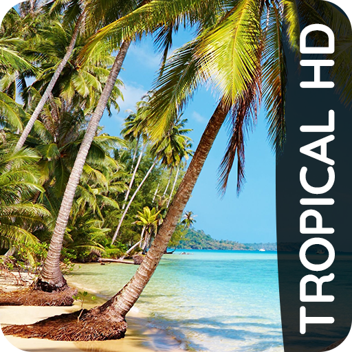 Tropical phone wallpapers  Icon