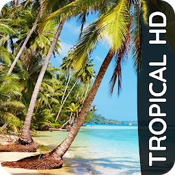 Icon image Tropical phone wallpapers