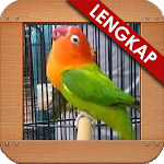 Cover Image of Download Masteran Loverbird Kusumo 1.2 APK