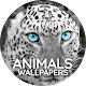 Wallpapers 4K with animals ดาวน์โหลดบน Windows