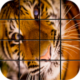 Tiger Puzzle Games icon