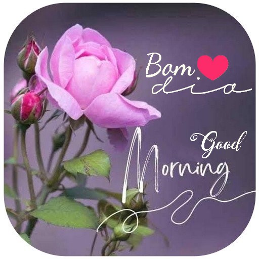Bom dia boa noite fotos flores logo