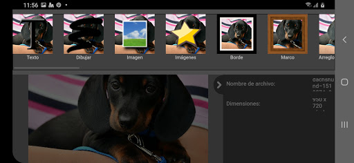 PhotoPad, Profesional Screen 2