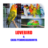 BETERNAK LOVEBIRD icon