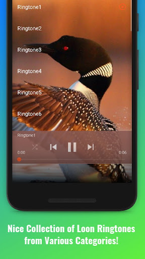 Loon Sounds Screen 2