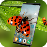 Ladybug in phone prank icon