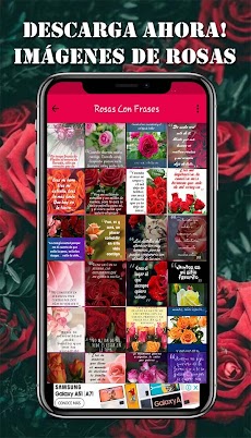 Imagenes de Rosas: Imagenes de Flores Hermosasのおすすめ画像1